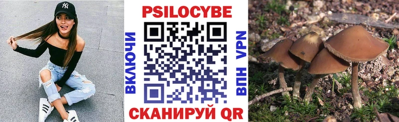 Галлюциногенные грибы мицелий  Семикаракорск 